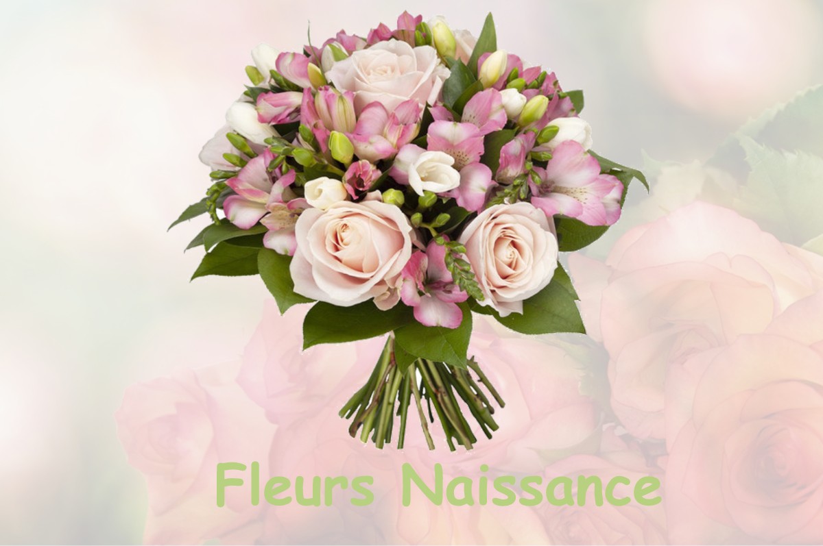 fleurs naissance LA-ROQUETTE-SUR-SIAGNE